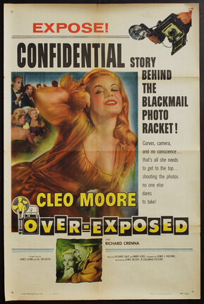 a movie poster with illustration of a glamorous woman