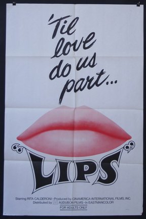 a poster with lips and words