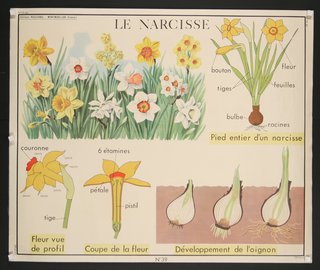 a poster with flowers and text