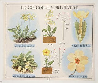 a poster with flowers and leaves