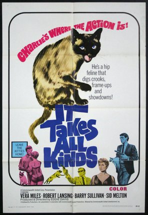 a movie poster with a siamese cat