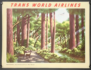 a poster of a trans world airlines