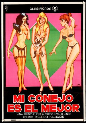 a poster of women in underwear