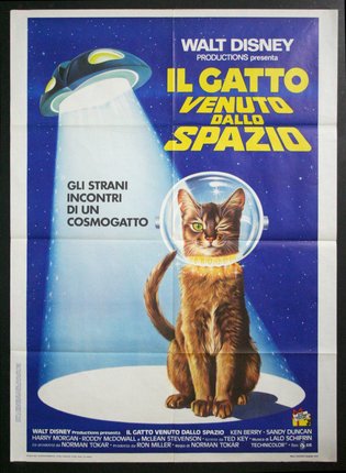 a poster of a cat wearing a helmet