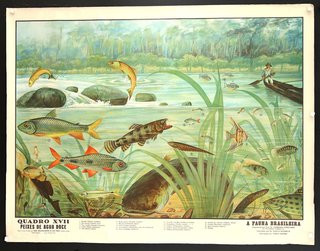 a poster of a river with fish