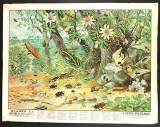 a poster of a forest with insects