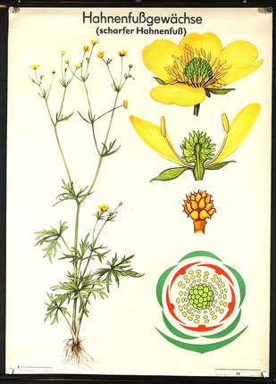 a poster with flowers and leaves