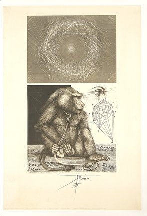 a monkey with a rope and a diagram of a spiral