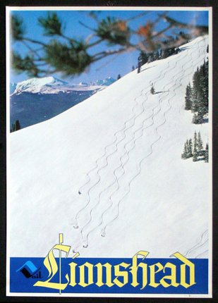 a poster with tracks in the snow