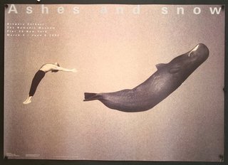 a poster of a man diving into a dolphin