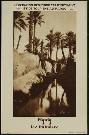 a stream of water with palm trees