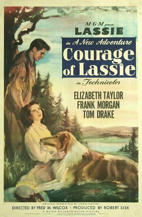 a movie poster of a woman and a dog