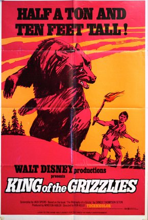 a movie poster of a bear and a man