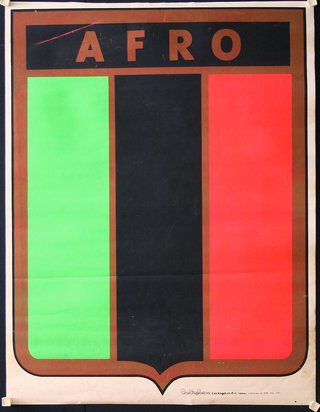 a poster with a black red green and black stripes