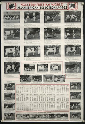 a calendar with pictures of cows