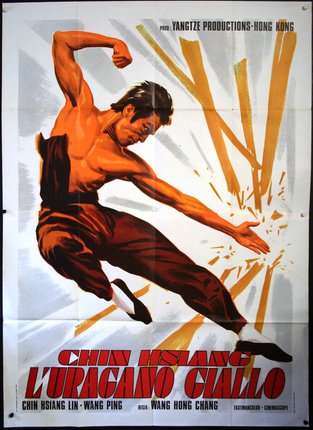 a poster of a man kicking a sword