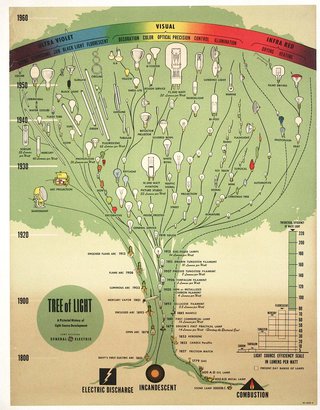 a diagram of a tree of light