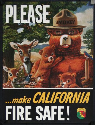 a poster of smokey the bear with other woodland creatures 