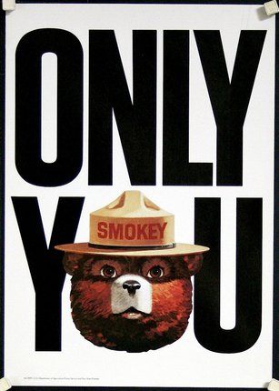 a poster with a bear wearing a hat