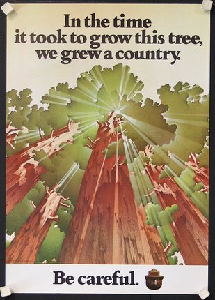 a poster with trees and text