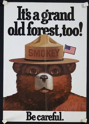 a poster with a bear wearing a hat