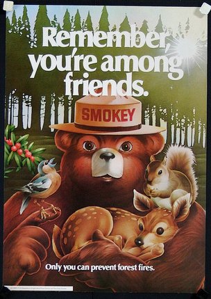 a poster of a smokey bear