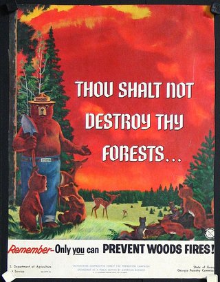 a poster of a forest fire