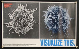 a poster of a cell