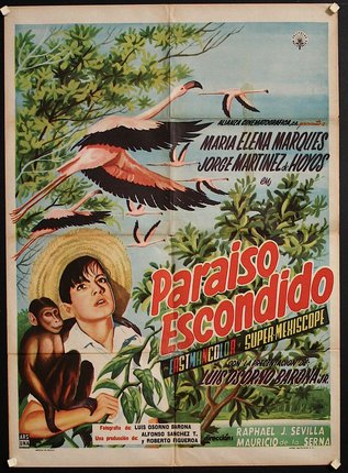 a movie poster with birds and animals