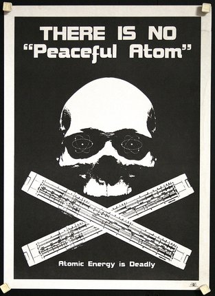 a black and white poster with a skull and crossbones
