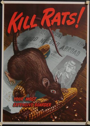 a poster of a rat eating corn