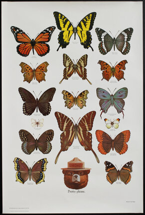 a poster of different butterflies