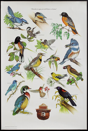 a poster of birds on branches