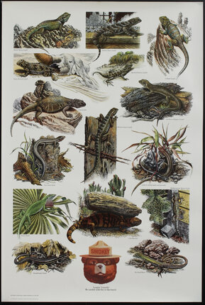 a poster of reptiles and plants