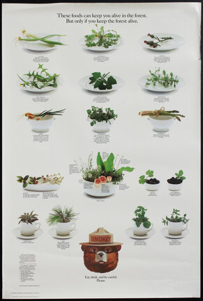 a poster of plants in bowls