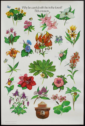 a poster of flowers and plants