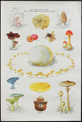 a poster of mushrooms and mushrooms