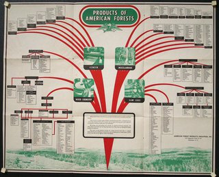 a poster with a diagram of the forest