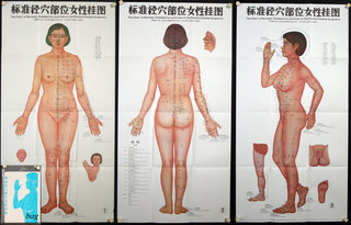 a group of posters of a woman's body