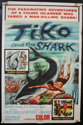 a poster of a man swimming with a shark