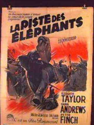a poster of an elephant