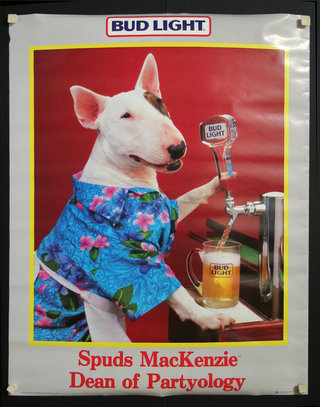 a dog pouring a beer from a tap