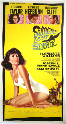 a movie poster of a woman in a bathing suit