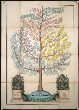 a tree of life diagram