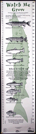 a poster with fish and text