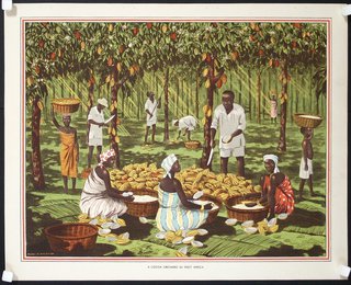 a group of people in a plantation