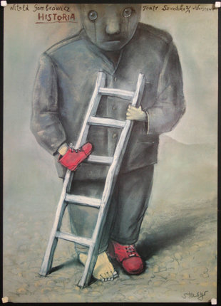 a man holding a ladder