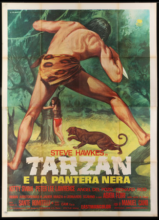 a movie poster of a man with a leopard on his head