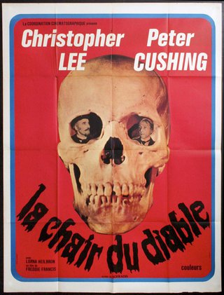a movie poster of a skull