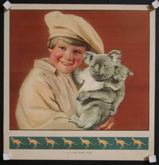 a poster of a boy holding a koala